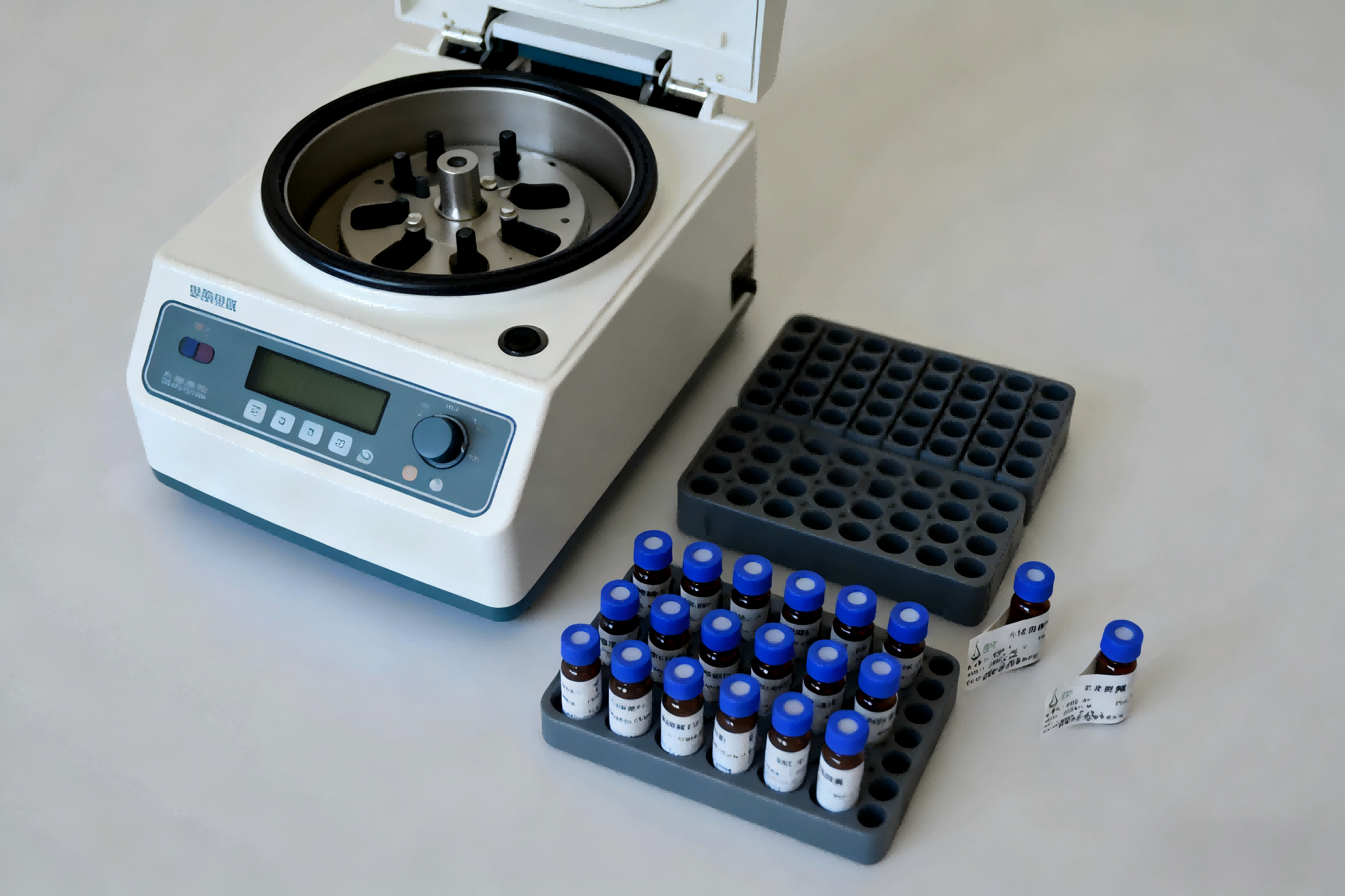 ��+��-������֬��˫��������