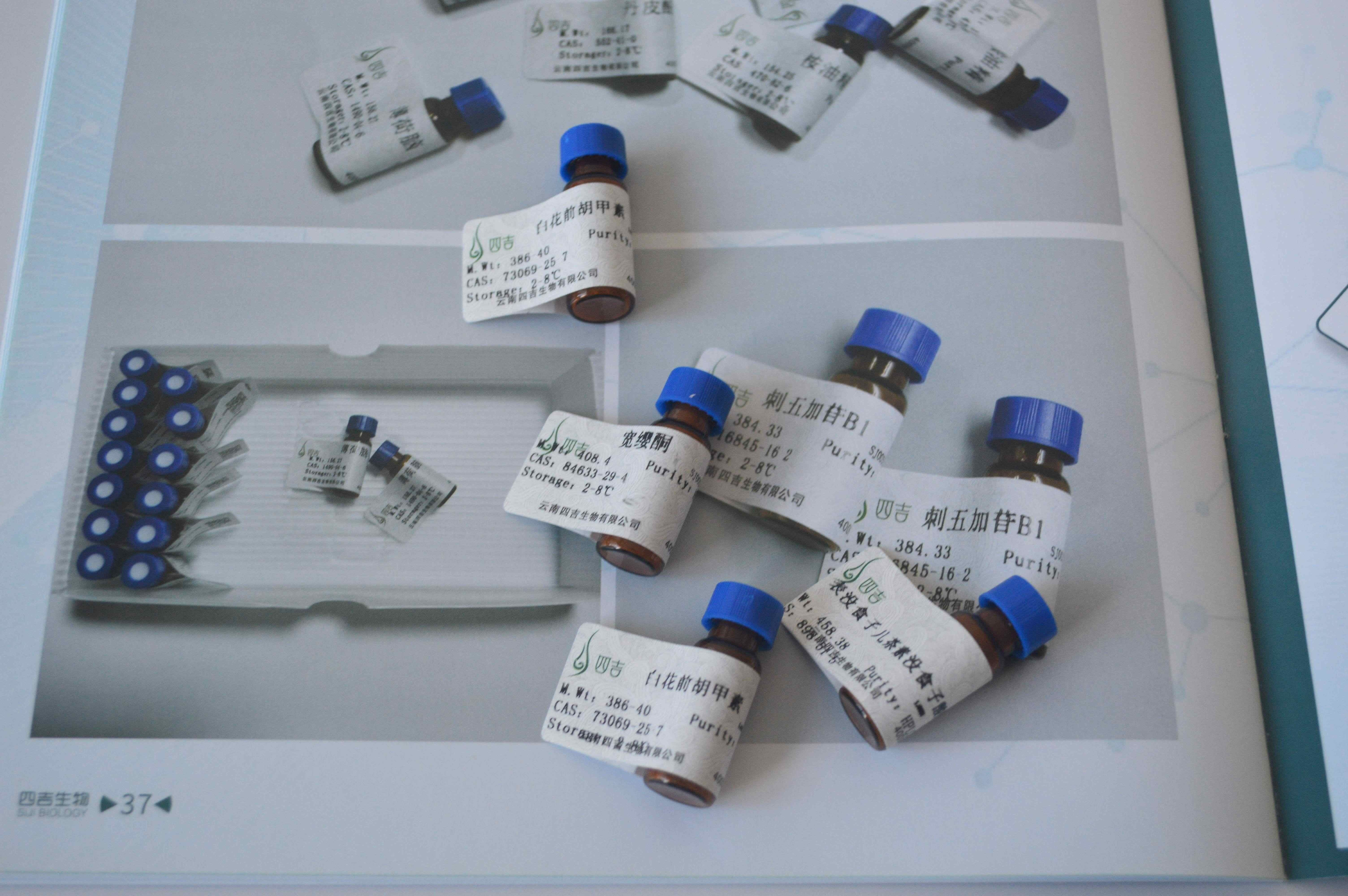 ��������Ԫ