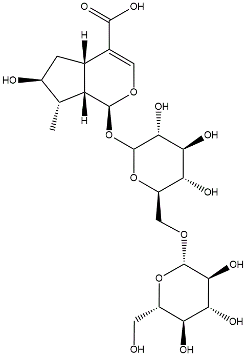 8-Ǯ-6'-