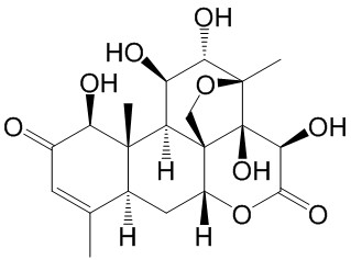 ѻD
