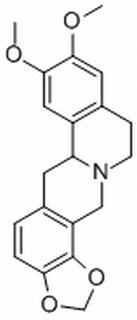 С޼