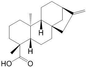 ɼϩ