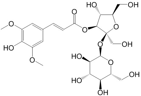 Զ־A6