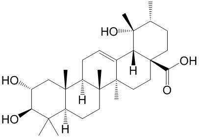 ί