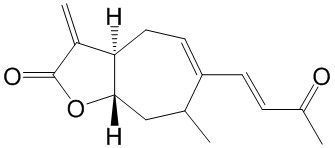 Զͤ