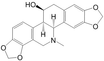 ˼