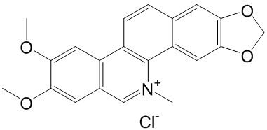 Ȼ