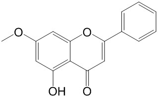 ѿ