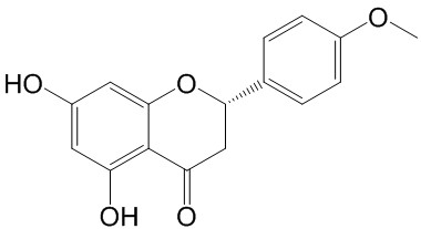 ӣͤ 