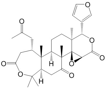 ŵ