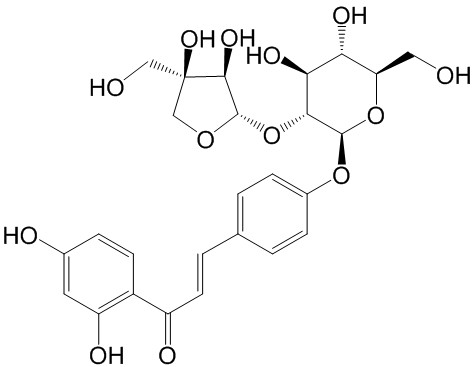ʲ