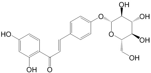 ʲ