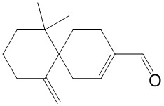 ǡȩ