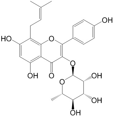 ޽II