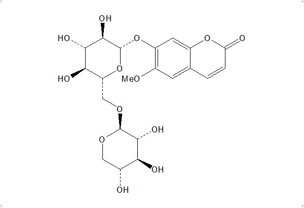 ֦