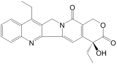 7-һϲ