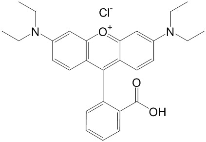 ޵B