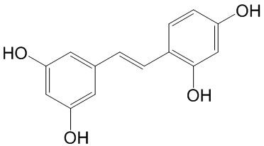 ޼« 
