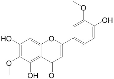 ʸ 