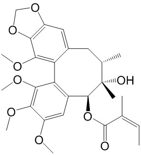 ζ 