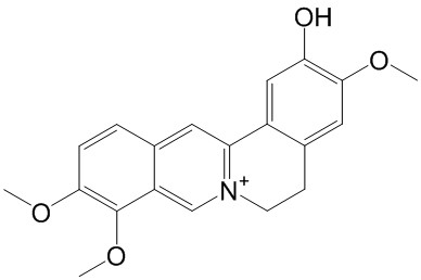 ޷ 