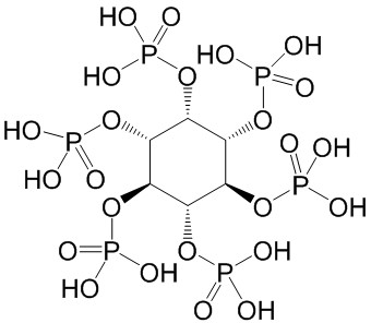 ֲ