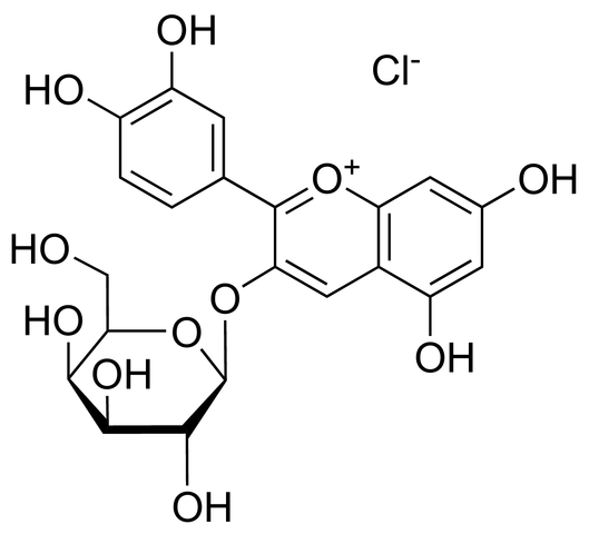 ʸ-3-