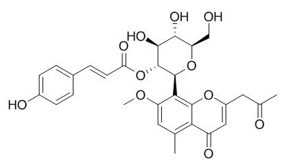 7-O-׻«߰A 