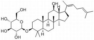 ˲Rh3 
