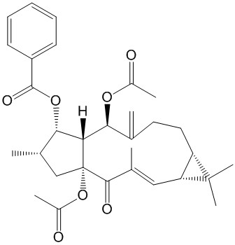L3