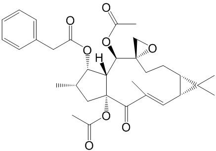 L1 