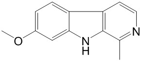 ȥ 