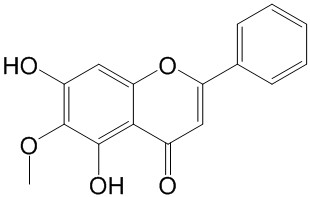 ǧֽA 